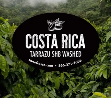 Costa Rica Tarrazú SHB Washed coffee label over lush green coffee plants in the Tarrazú region