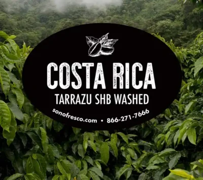 Costa Rica Tarrazú SHB Washed coffee label over lush green coffee plants in the Tarrazú region