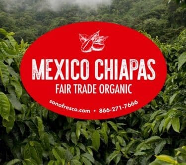 Mexico Chiapas FTO