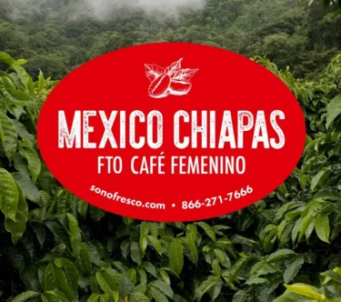 Mexico Chiapas FTO Café Femenino label over lush green coffee plants in Chiapas