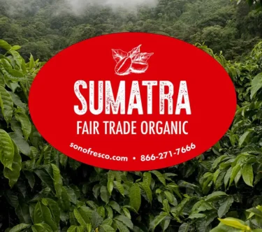 Sumatra FTO green coffee beans label displayed over lush Indonesian coffee plants