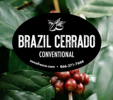 Brazil Cerrado Conventional coffee label over ripe red coffee cherries