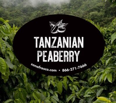 Tanzanian Peaberry