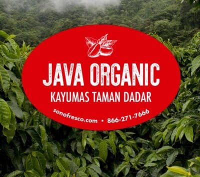 Java Organic Kayumas Taman Dadar green coffee label over lush Indonesian coffee plants