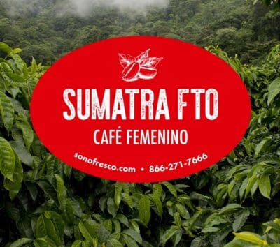 Sumatra FTO Café Femenino label over lush green coffee plants in Indonesia