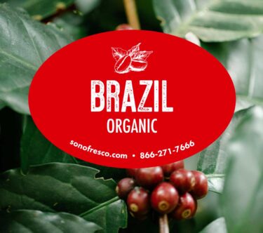 Brazil Organic coffee label displayed over ripe red coffee cherries and green leaves