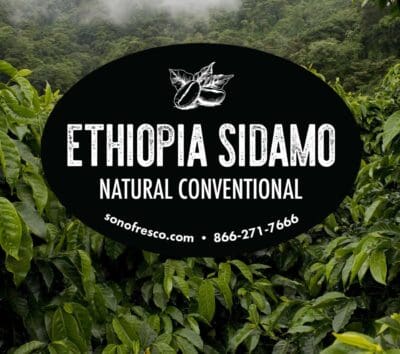Ethiopia Sidamo Natural Conventional