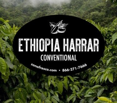 Ethiopia Harrar - Conventional