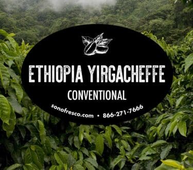 Ethiopia Yirgacheffe - Conventional