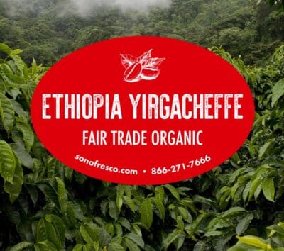 Ethiopian FTO Yirgacheffe