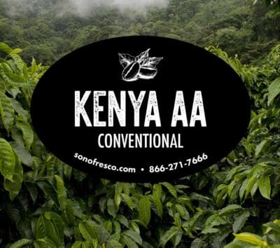 Kenya AA - Conventional