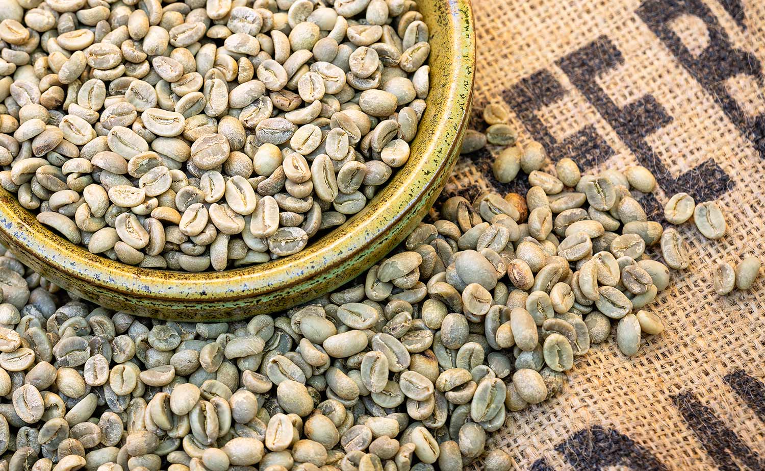 Unroasted green Colombian Fair Trade Organic coffee beans, highlighting their quality and readiness for roasting.
