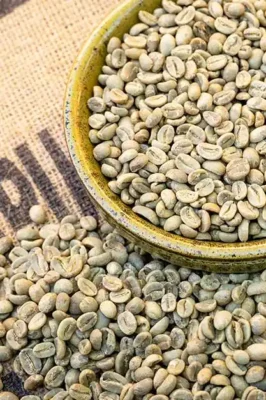 Close shot of unroasted green coffee beans for quick order on Sonofresco’s site