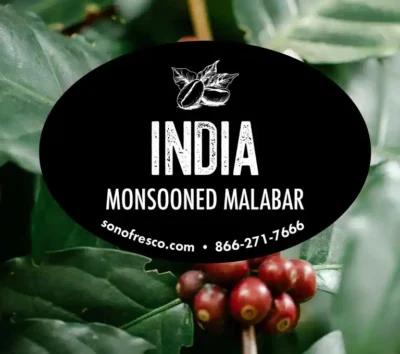 Indian Monsooned Malabar green coffee label on coffee plant with ripe red cherries