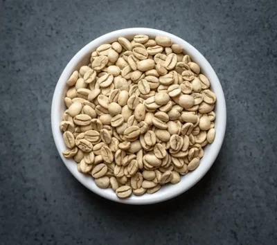 Indian Monsooned Malabar green coffee beans in a white bowl on a dark background