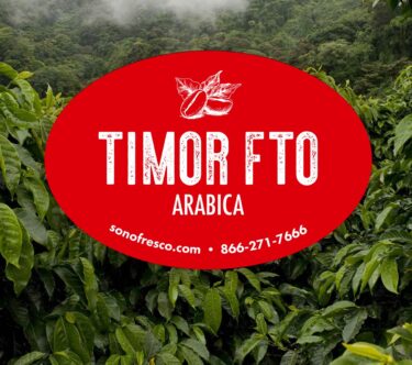 Timor FTO Arabica green coffee beans label over lush Timor coffee plants