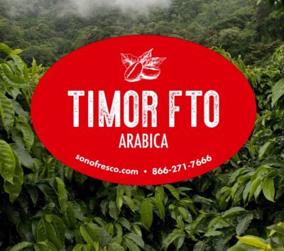 Timor FTO Arabica green coffee beans label over lush Timor coffee plants