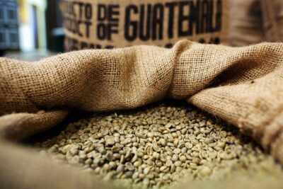 Green coffee beans in burlap sack showing texture and quality for wholesale roasting