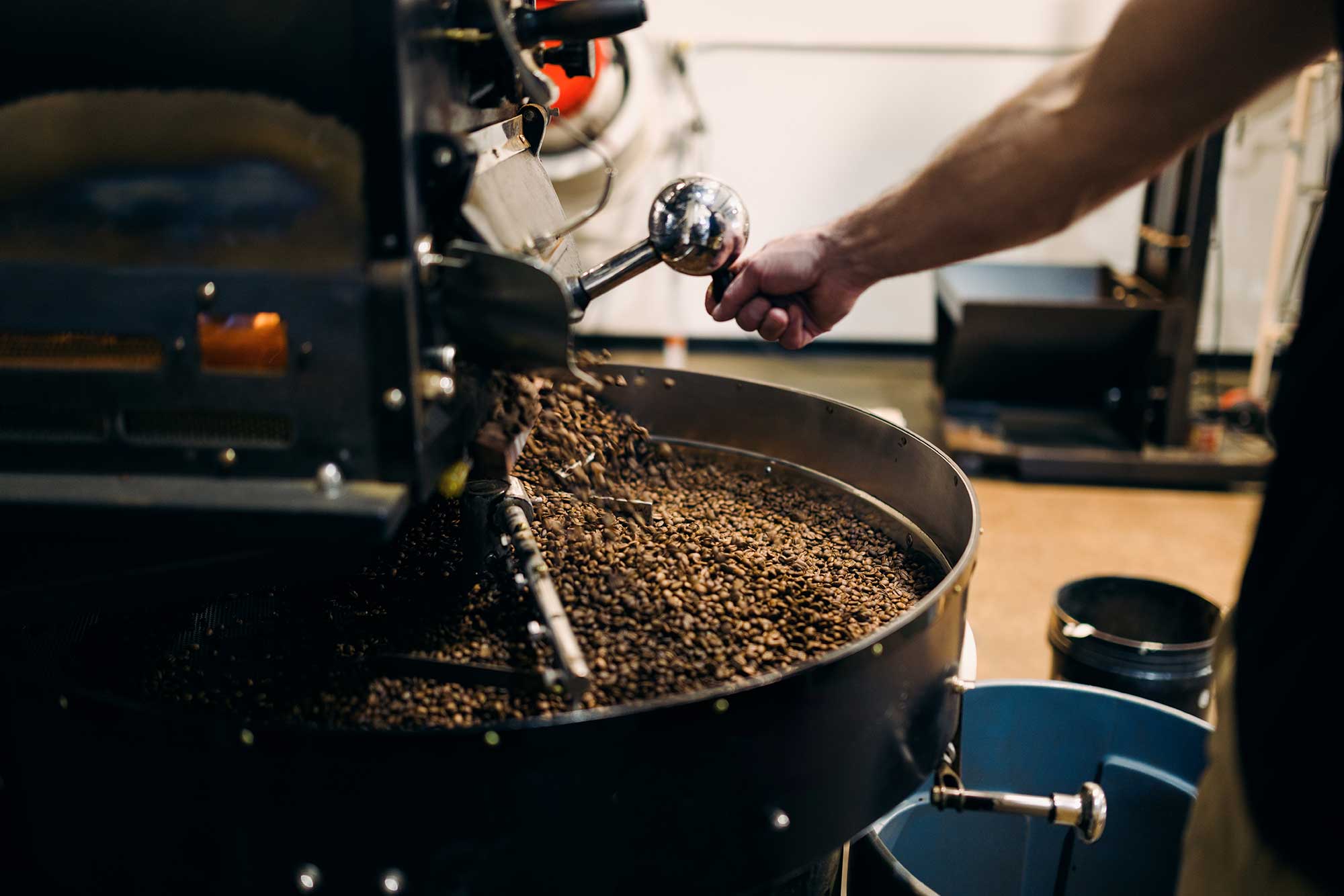 Coffee roaster cooling freshly roasted coffee beans after roasting process