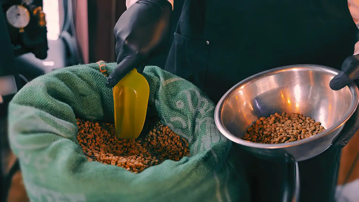 Raw green coffee beans being measured into a metal bowl before sample roasting